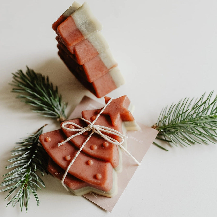 SOAK EVERGREEN SOAP BAR