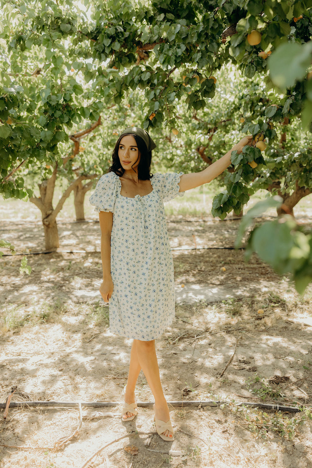 MITCHELL PRINTED DRESS - BLUE BUNDLES