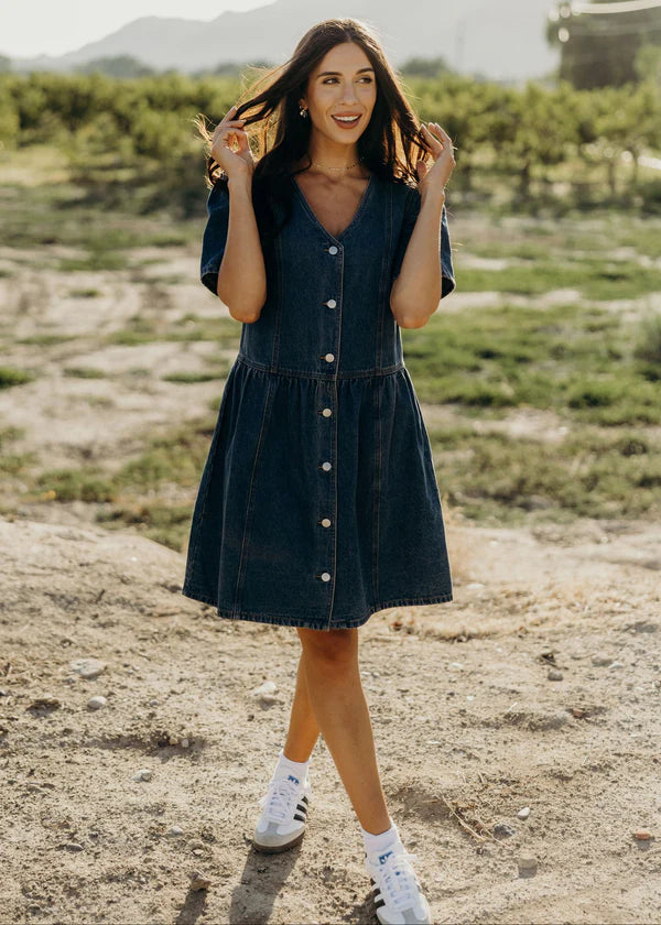 RAYLEIGH DENIM DRESS - VINTAGE WASH