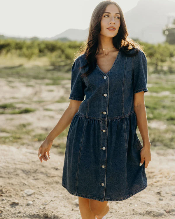 RAYLEIGH DENIM DRESS - VINTAGE WASH