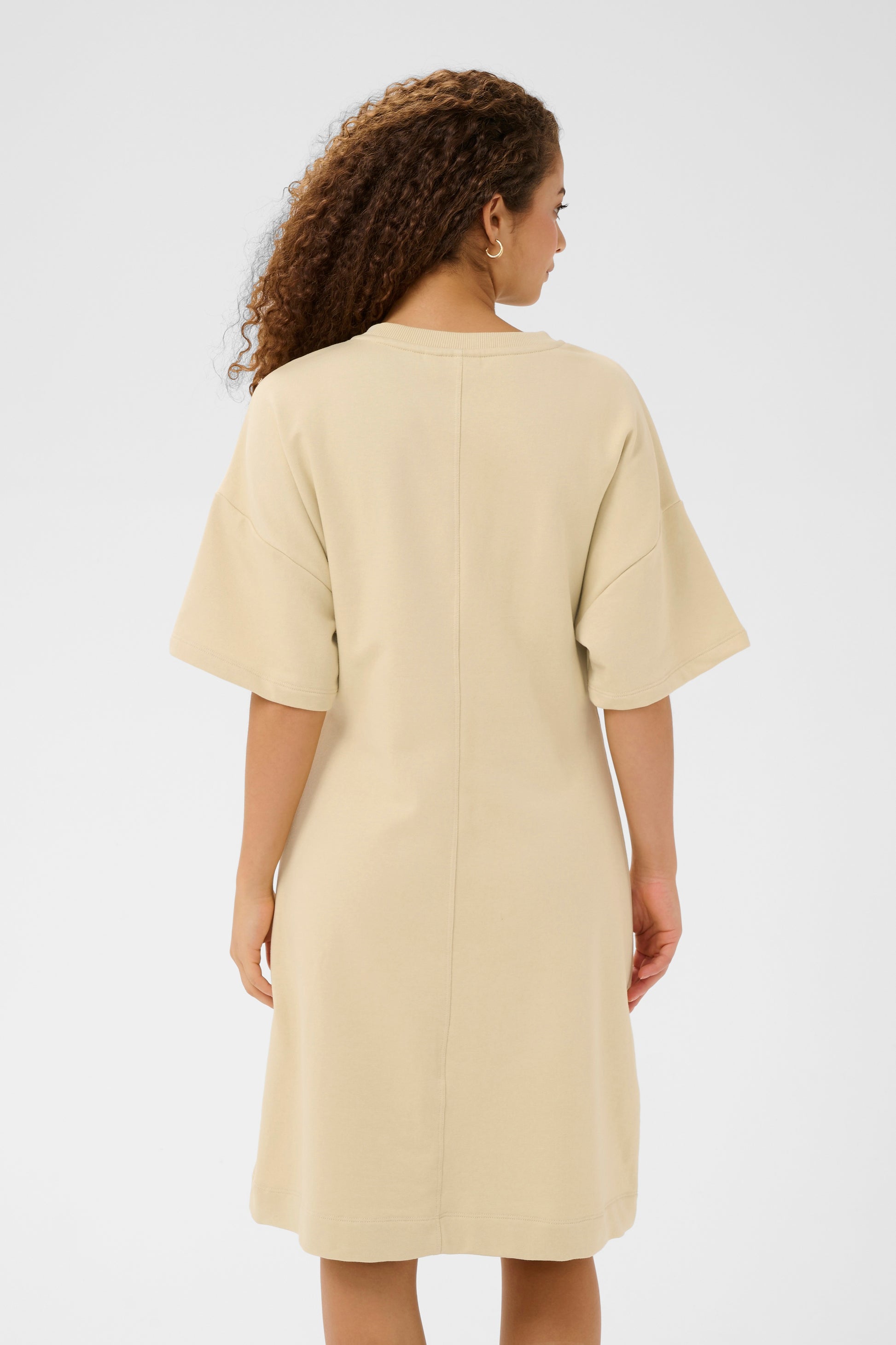 SAINT TROPEZ PAULETTE SWEAT DRESS - BROWN RICE