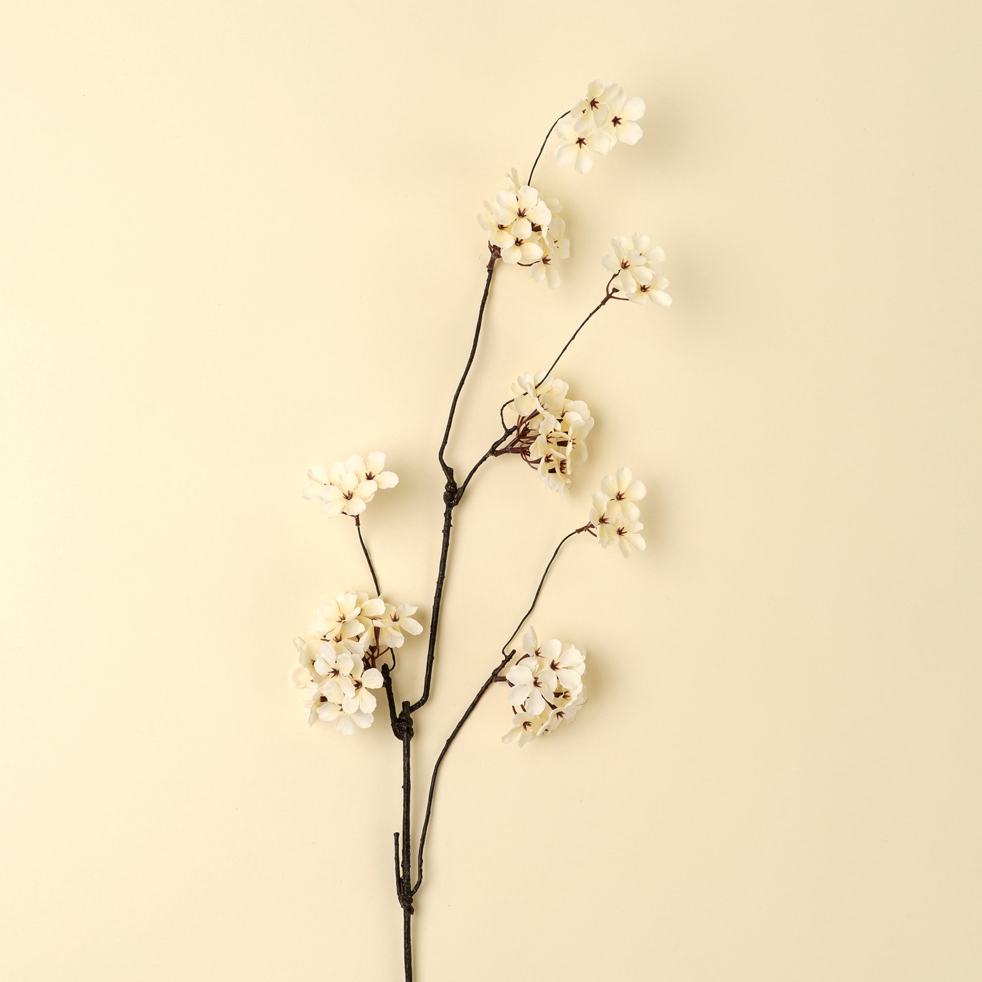 PEAR BLOSSOM BRANCH - L