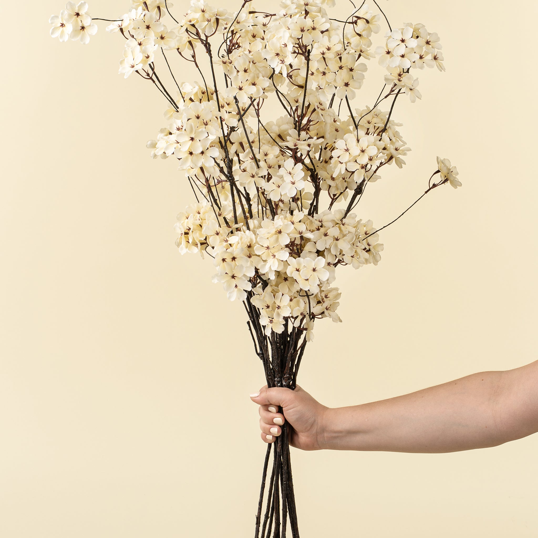 PEAR BLOSSOM BRANCH - L