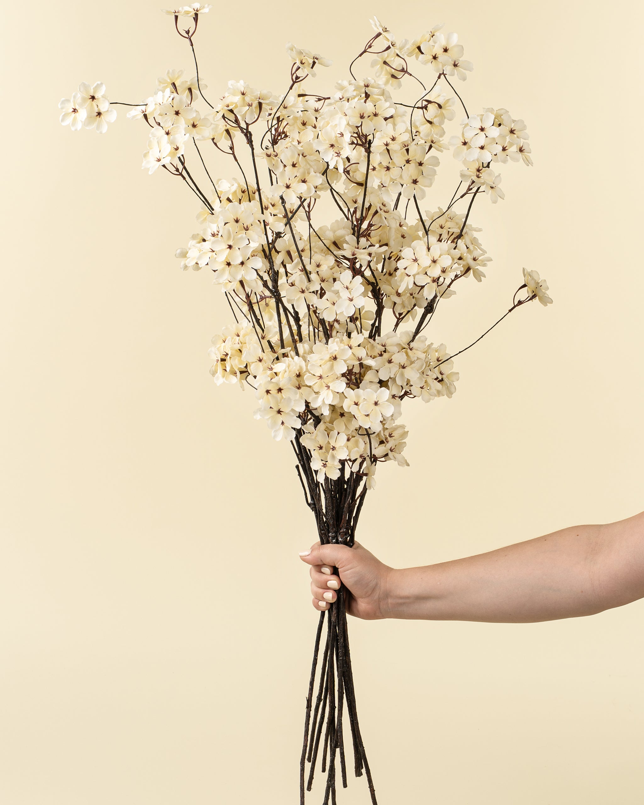 PEAR BLOSSOM BRANCH - L