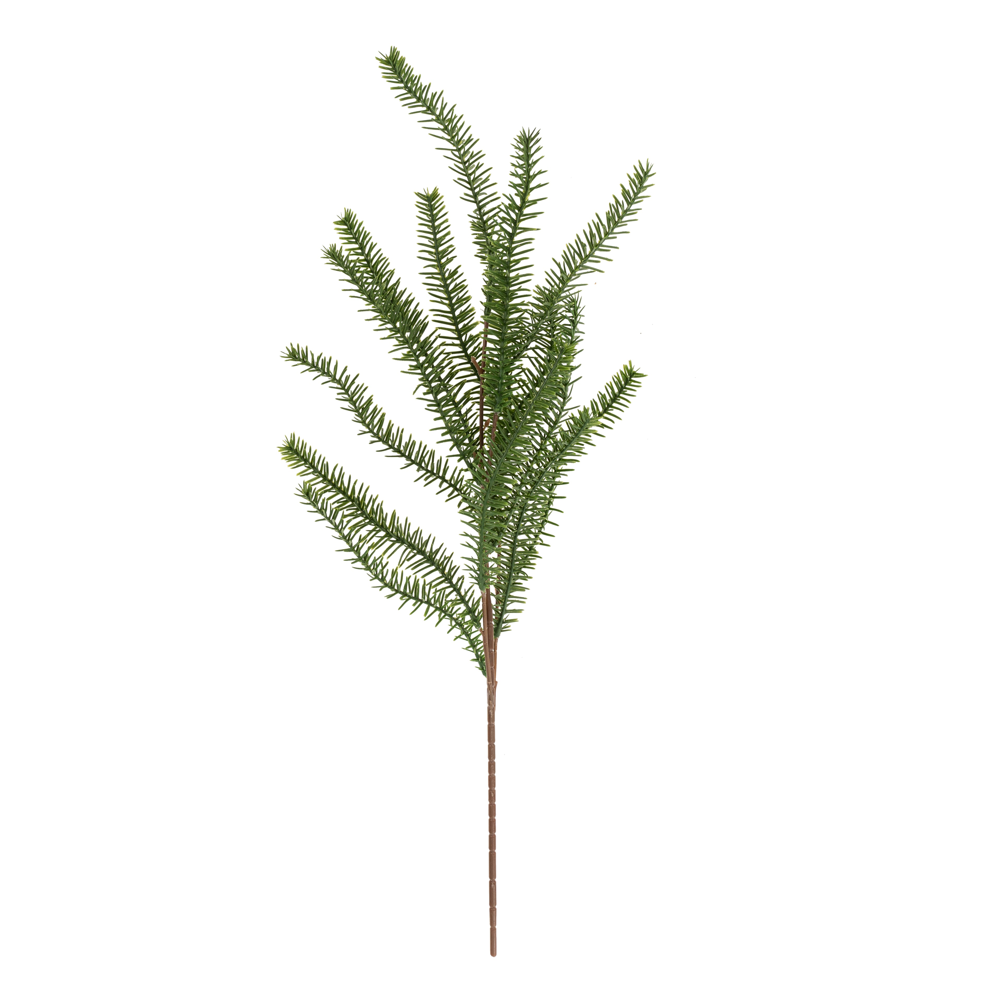 PINE SPRIG
