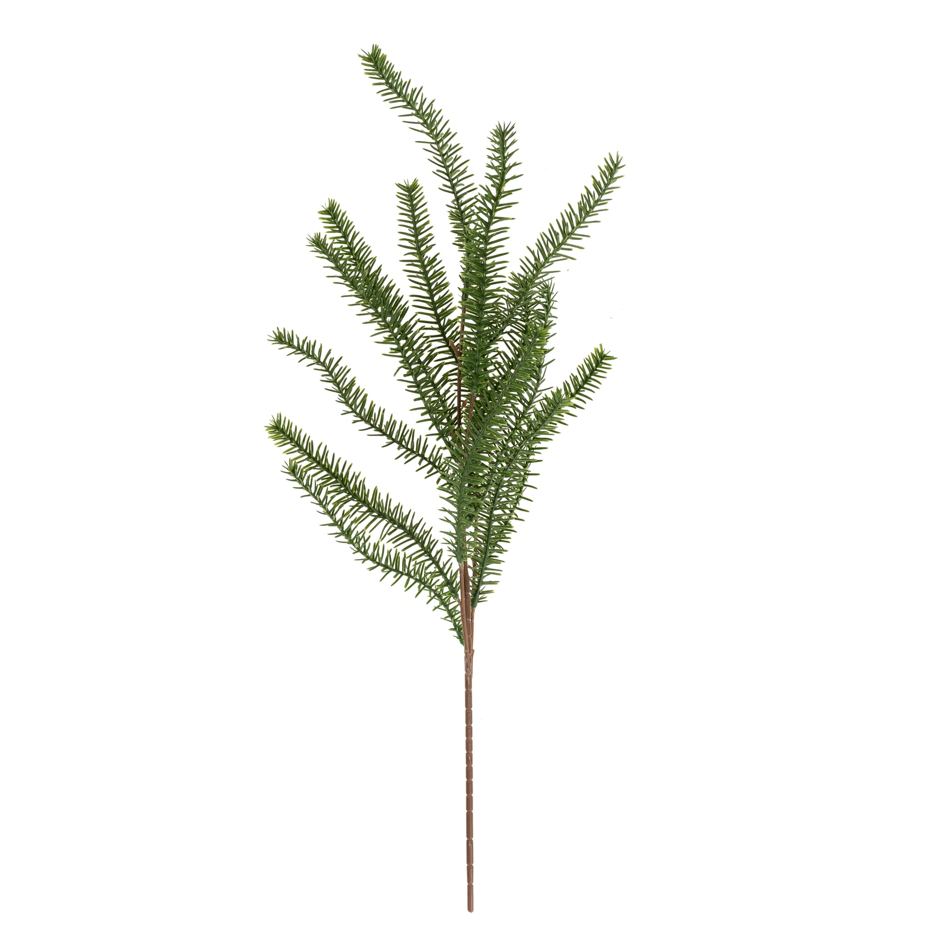 PINE SPRIG