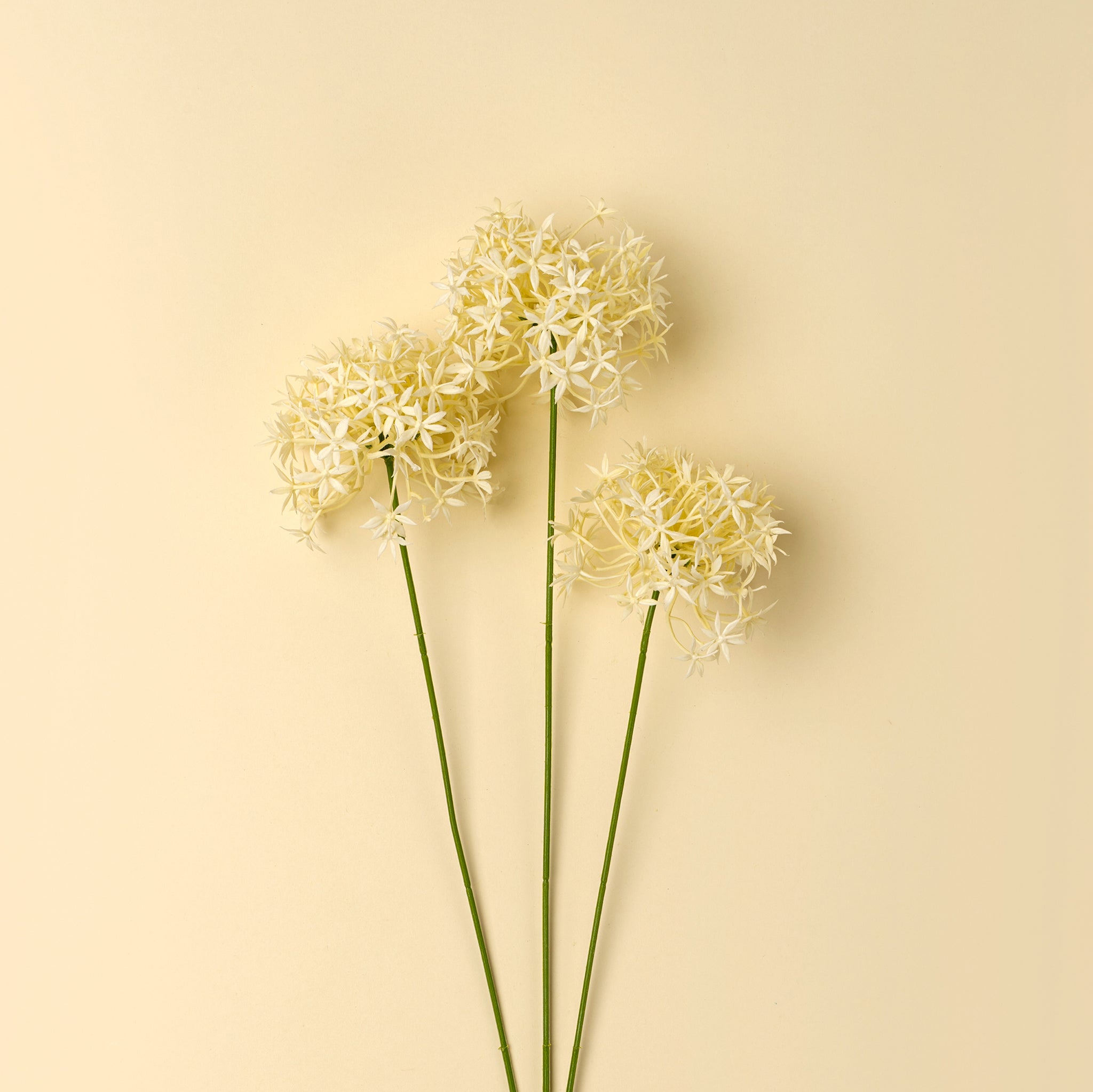FLORAL SPRAY - CREAM