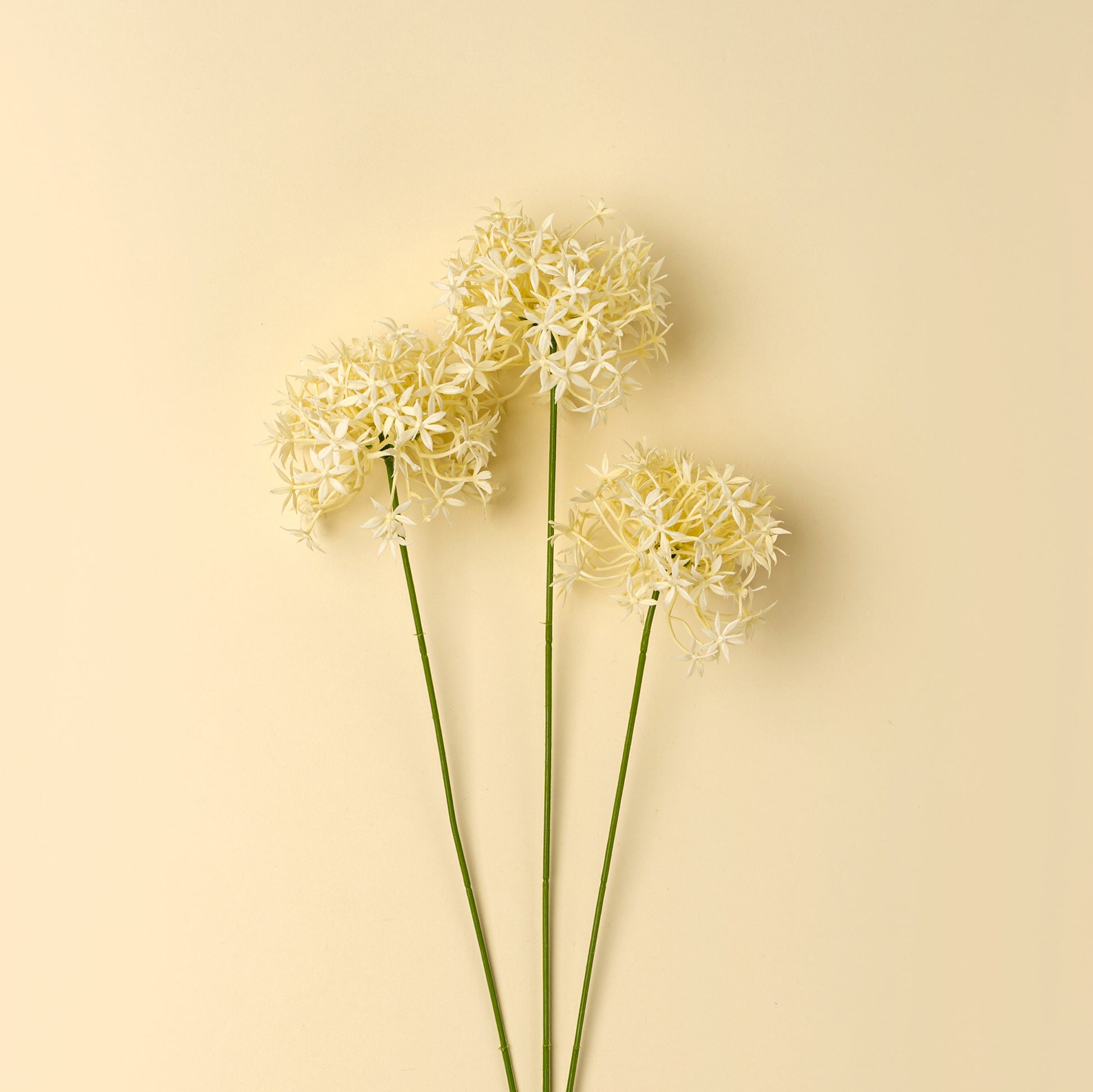 FLORAL SPRAY - CREAM