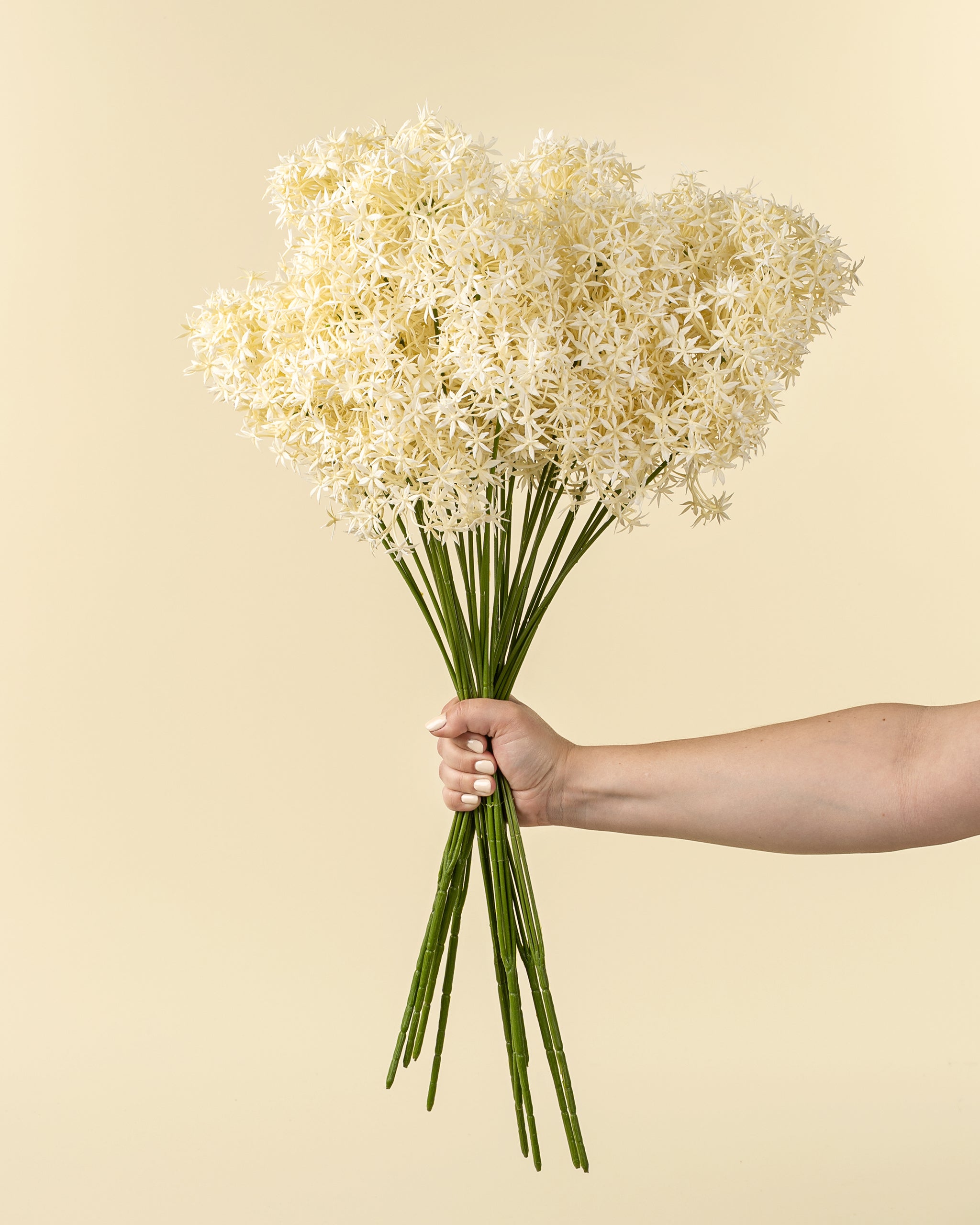 FLORAL SPRAY - CREAM