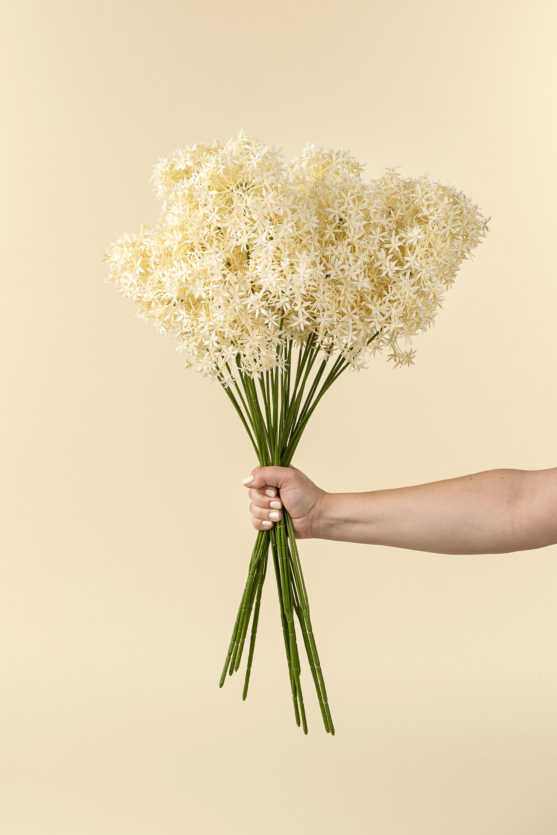 FLORAL SPRAY - CREAM