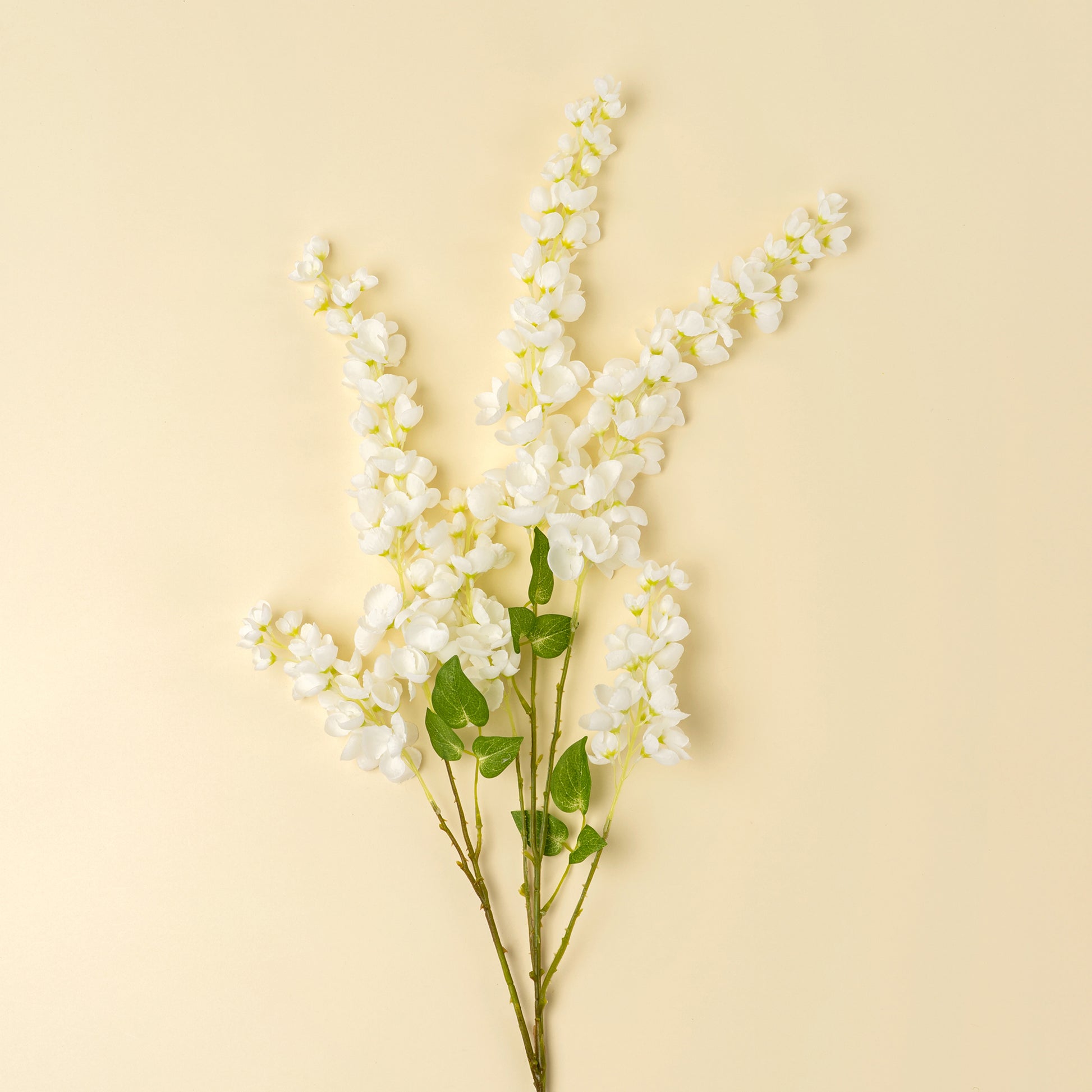 WISTERIA CASCADE - WHITE