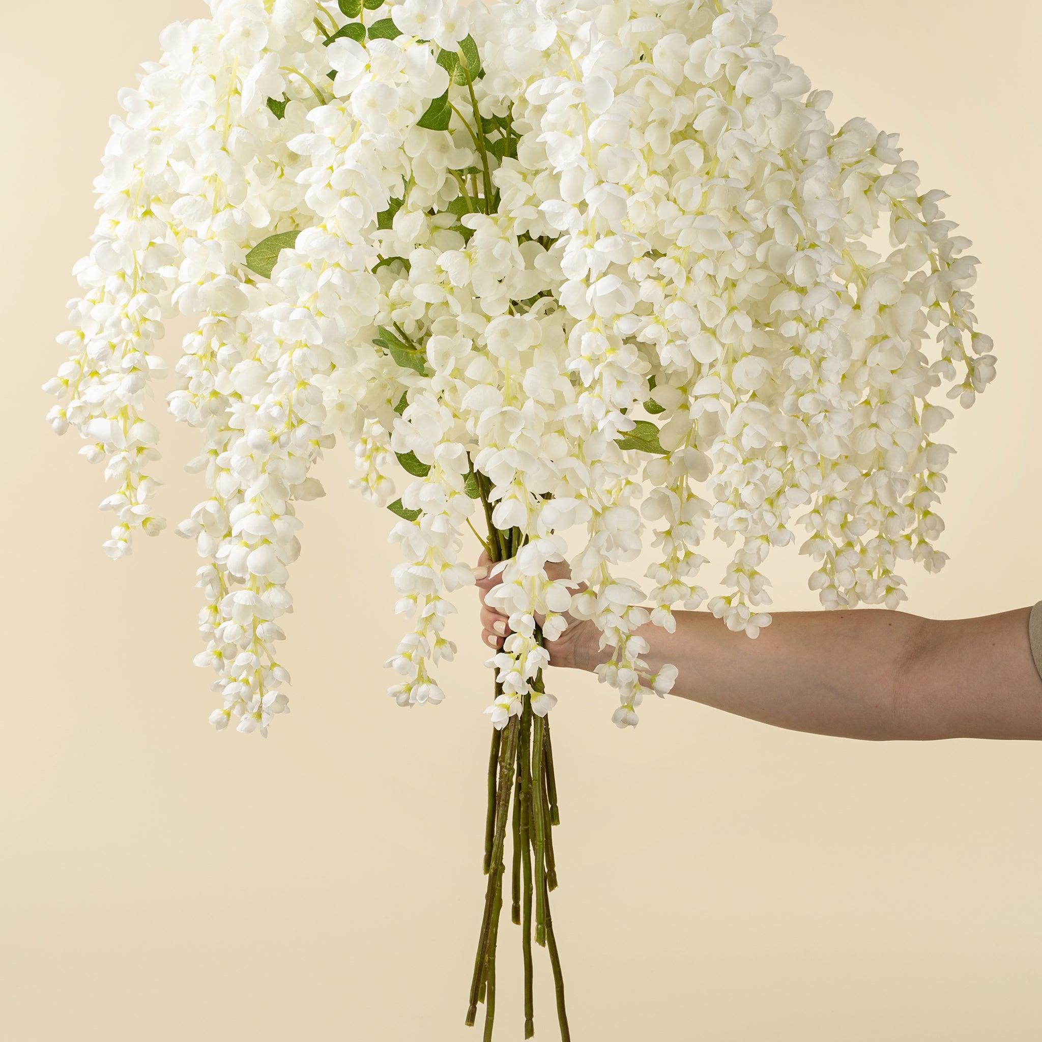 WISTERIA CASCADE - WHITE