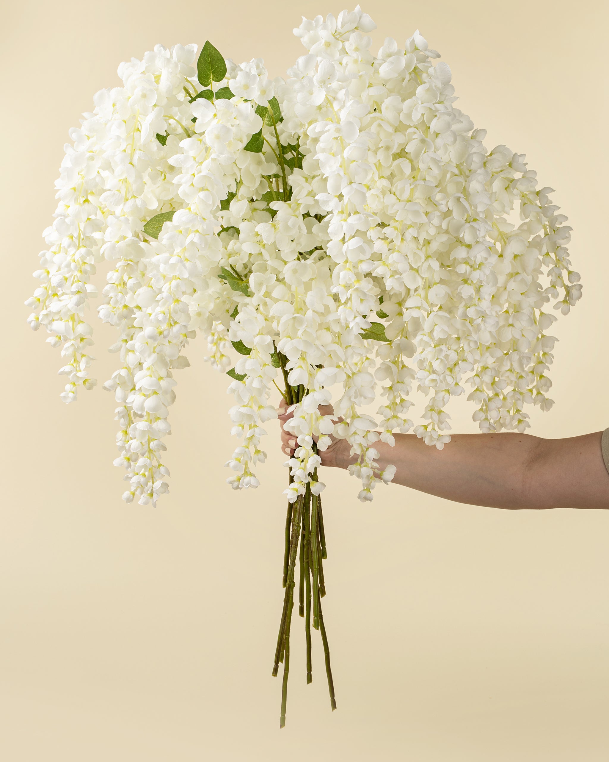WISTERIA CASCADE - WHITE