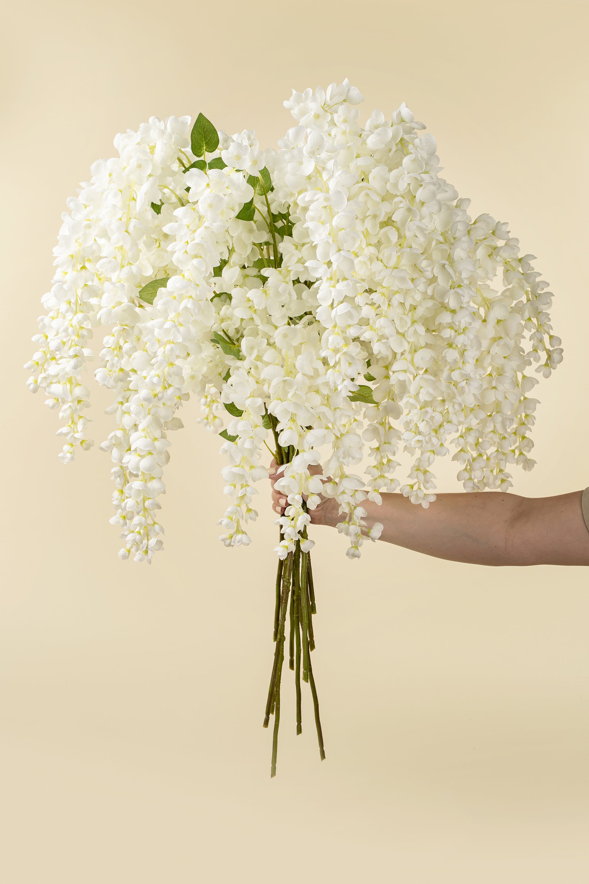WISTERIA CASCADE - WHITE