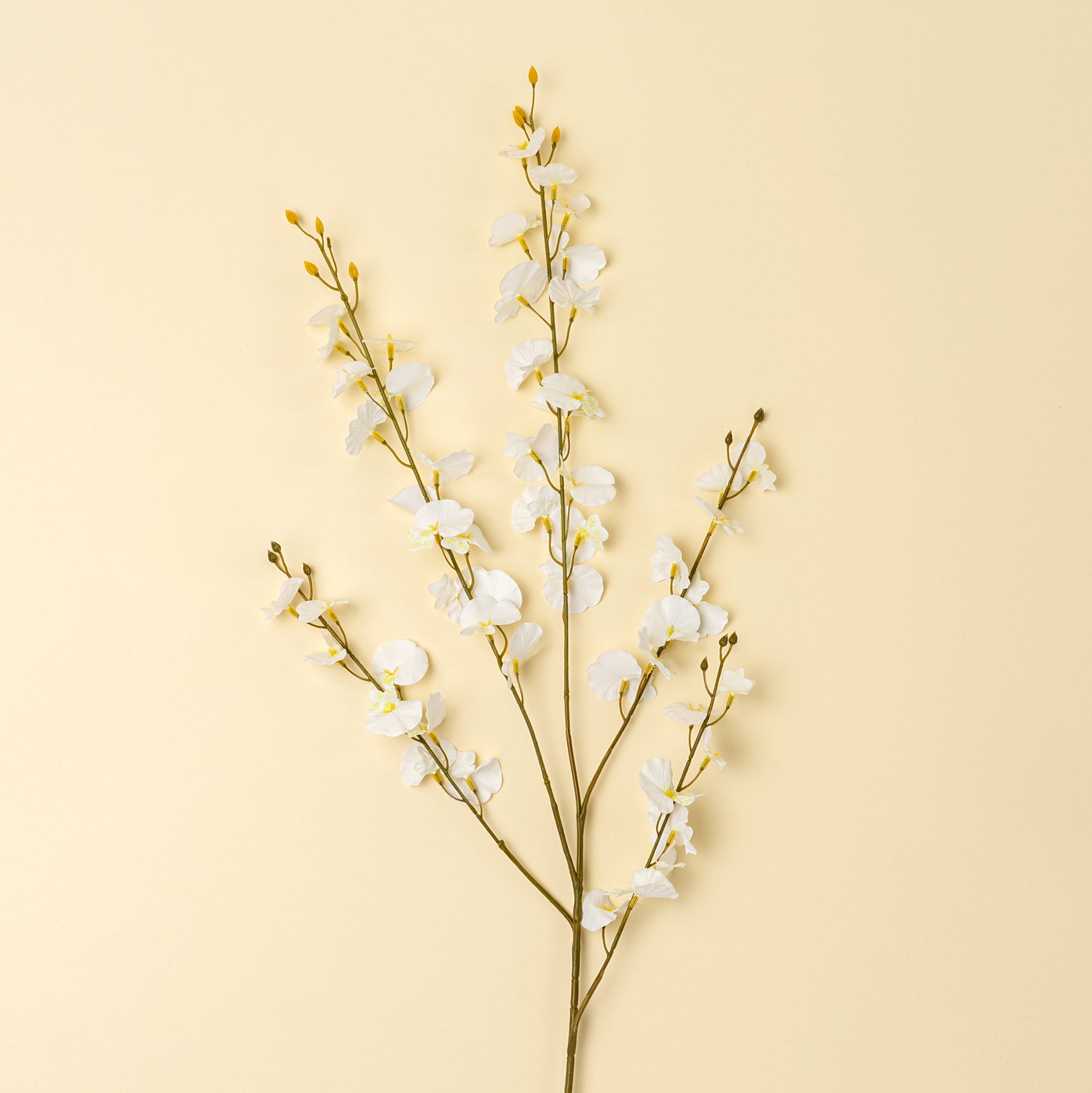 ORCHID SPRAY - WHITE