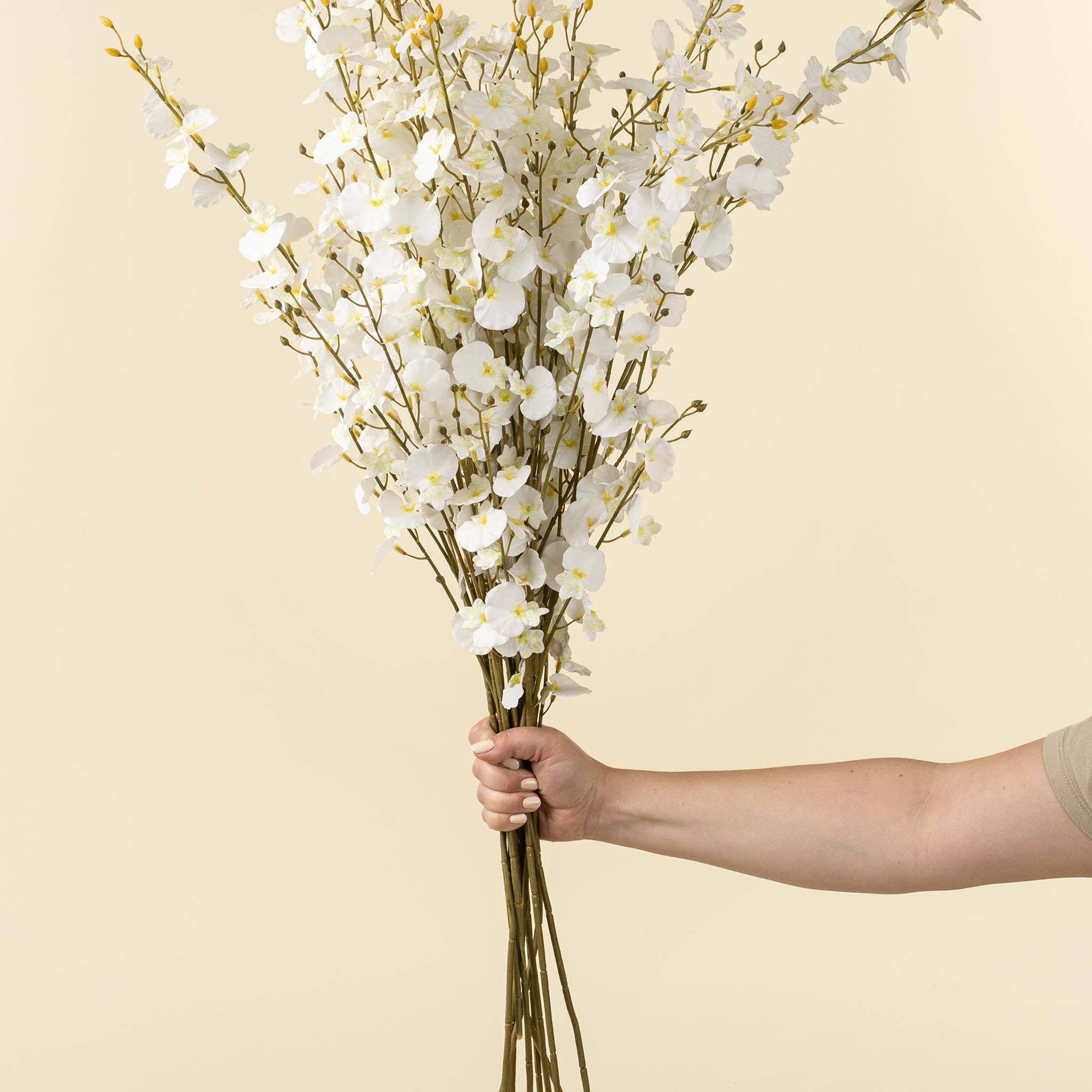 ORCHID SPRAY - WHITE