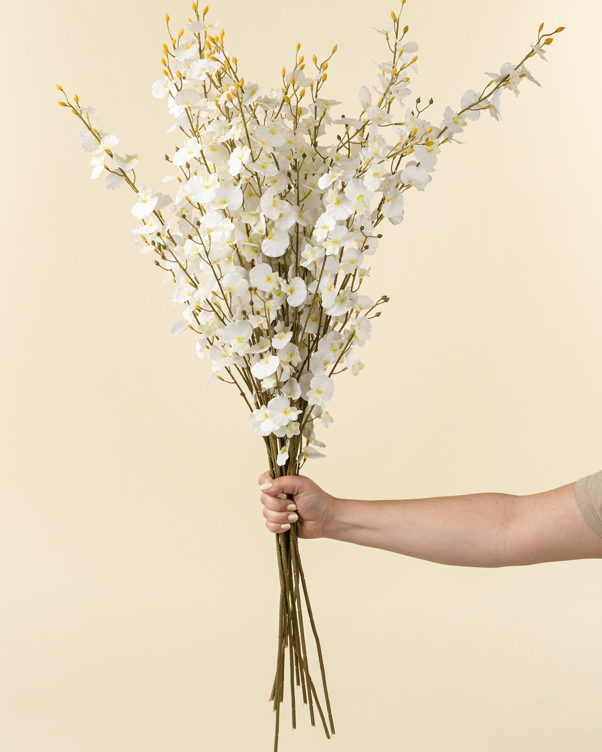 ORCHID SPRAY - WHITE