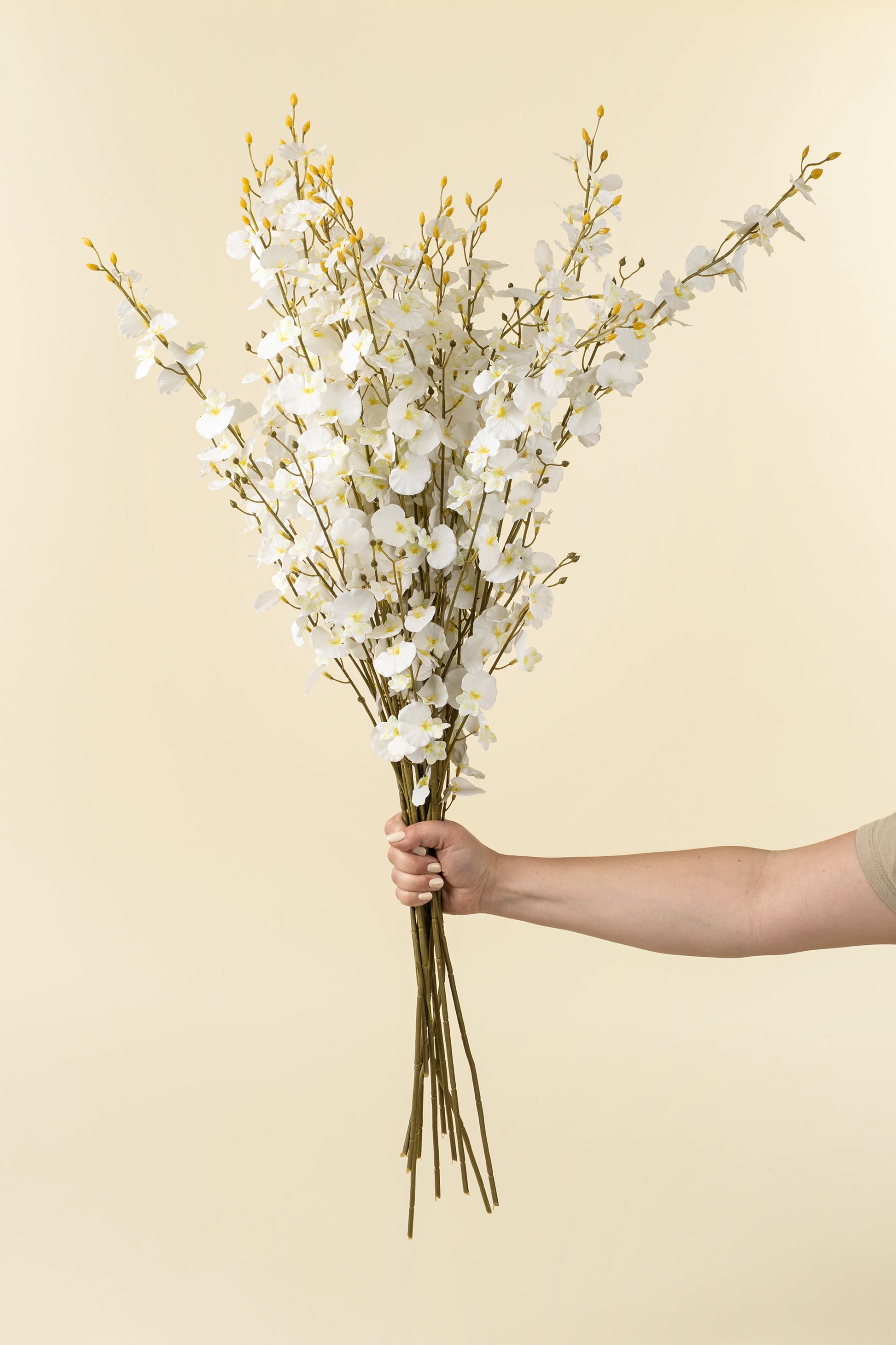 ORCHID SPRAY - WHITE