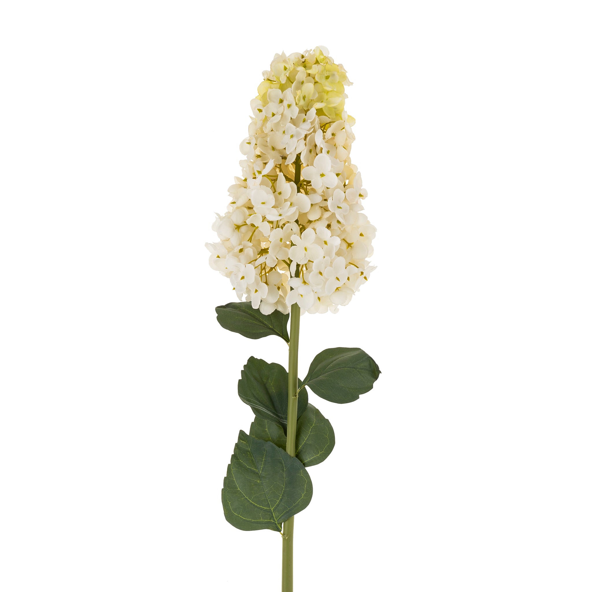 HYDRANGEA STEM - WHITE