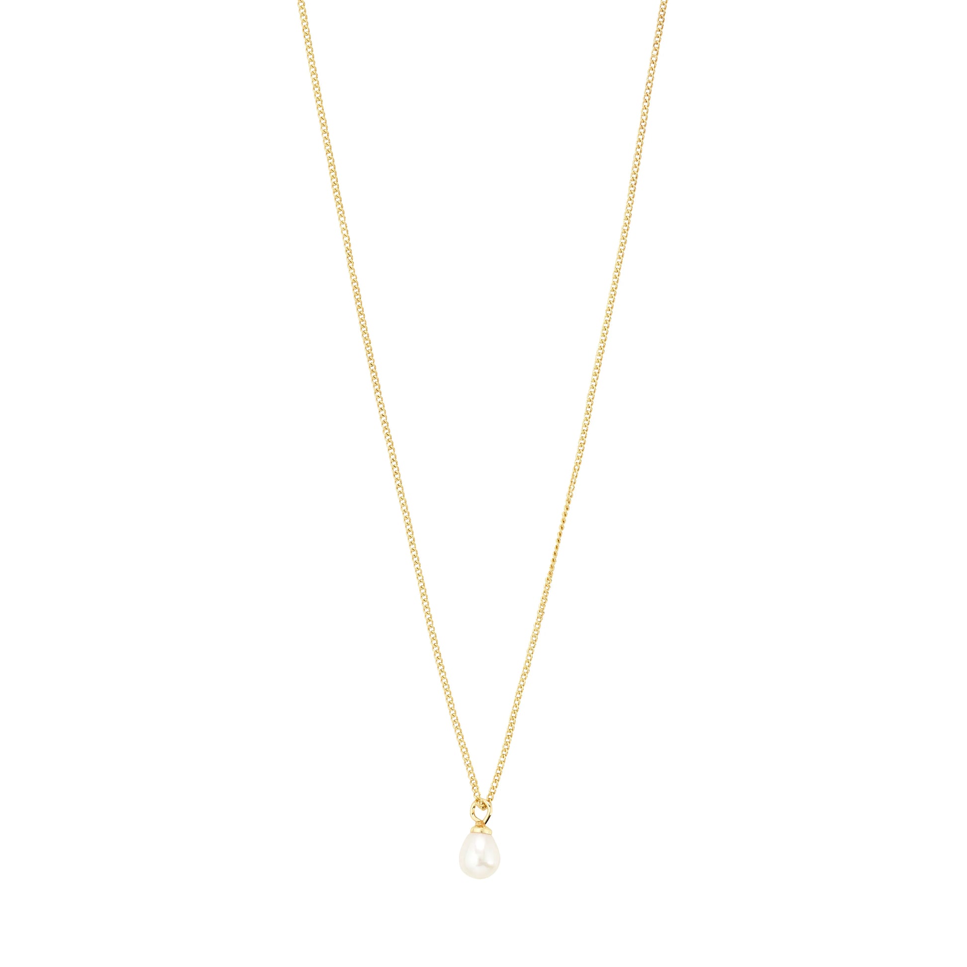 PILGRIM EVENA GIFT SET ( NECKLACE + PEARL STUDS ) - GOLD