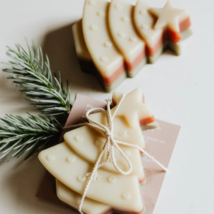 SOAK EVERGREEN SOAP BAR