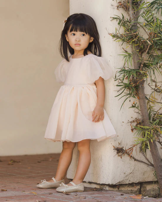 NORALEE SOFIA DRESS - BLUSH