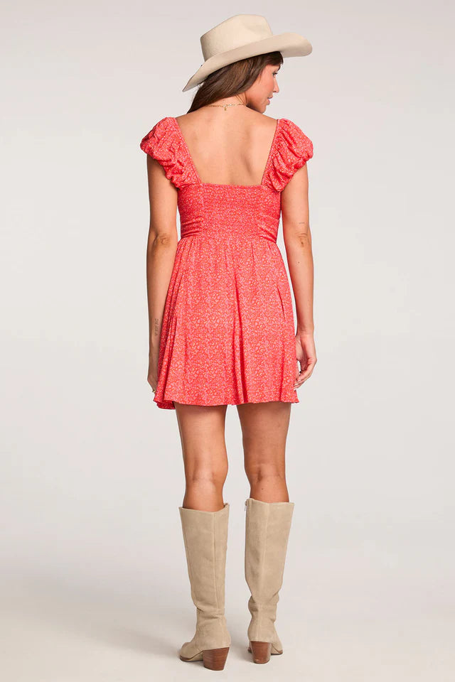 SALTWATER LUXE ELISS MINI DRESS - VINTAGE RED