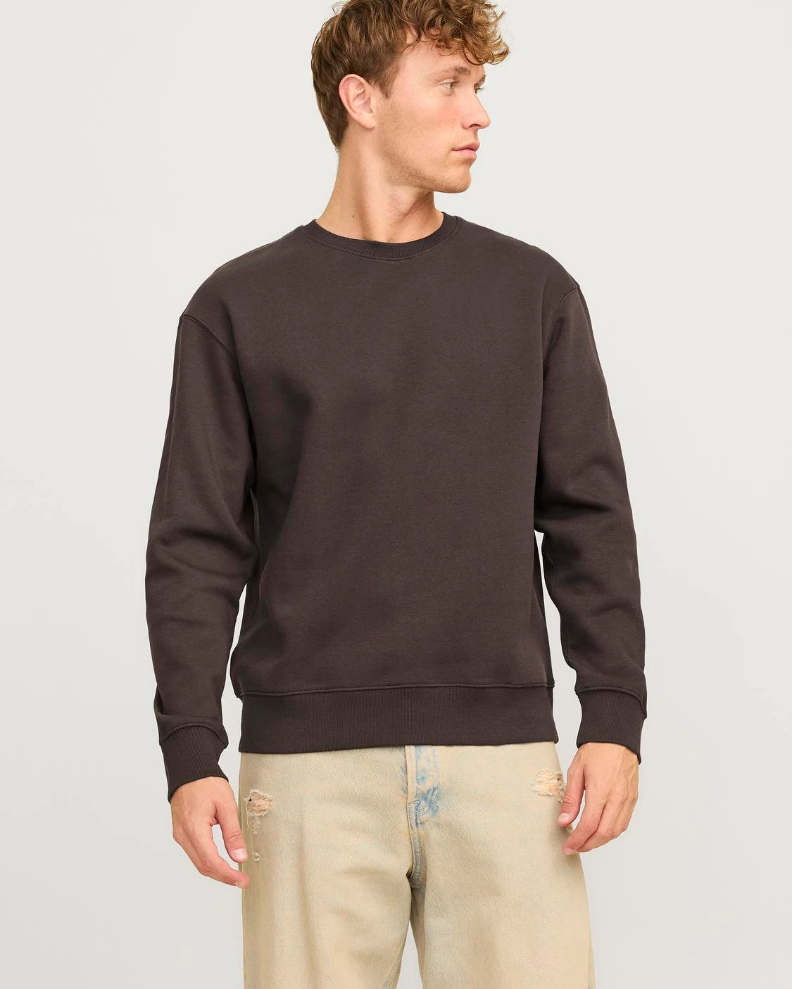 STAR BASIC SWEATSHIRT - MULCH