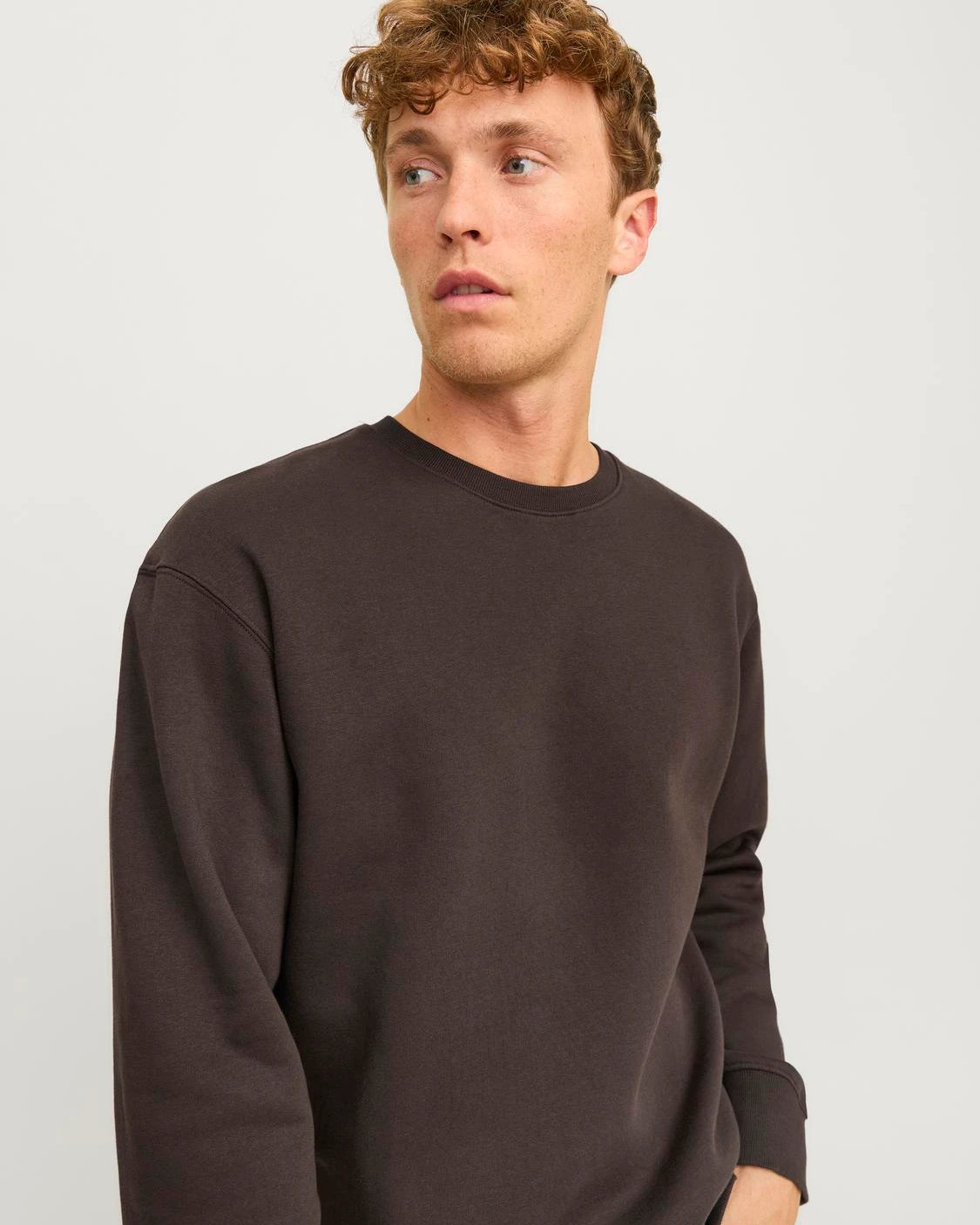 STAR BASIC SWEATSHIRT - MULCH